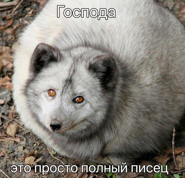Россия и Африка едины