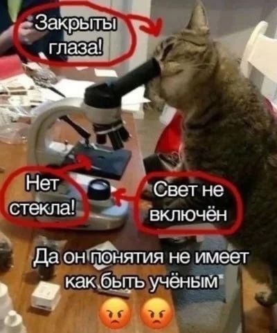 Приколы с налетом деградации