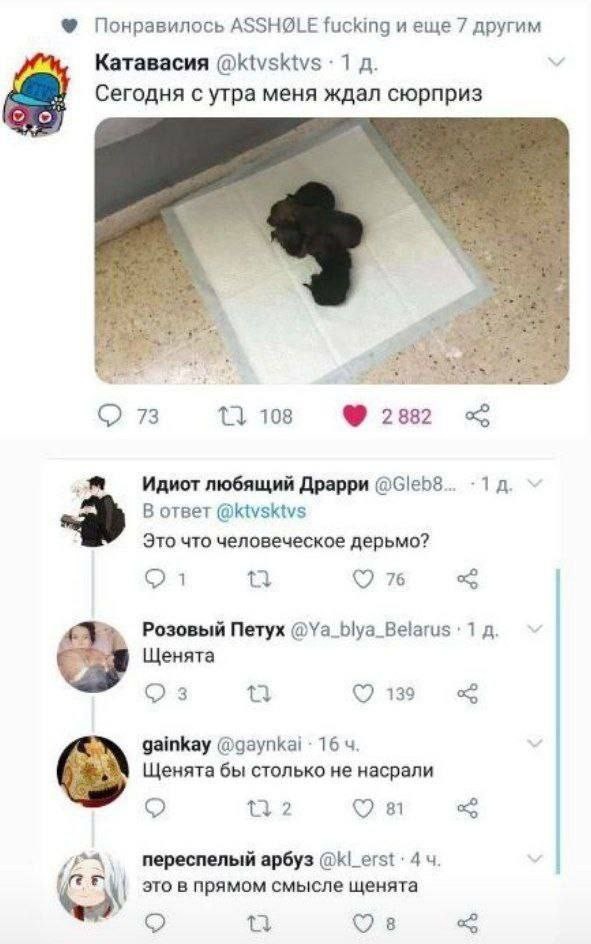 Так себе картинки 11.05.24