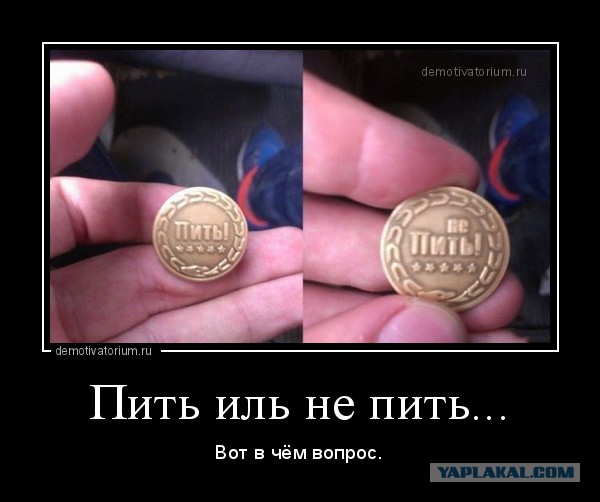 В мире животных