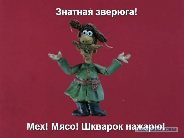 Не свинья, а вепрь!!