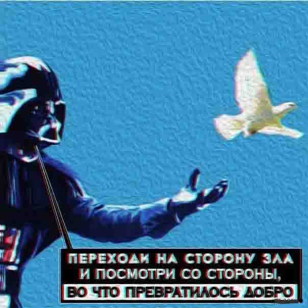 Моя нора на СВО