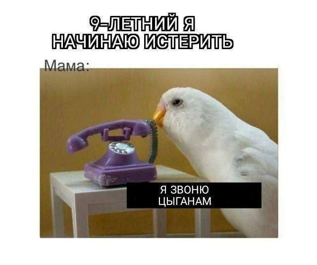 Интернет мемы на утро субботы