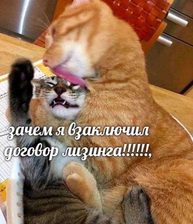 Веселые картинки в понедельник (18.08)