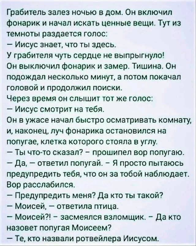 20404450.jpg