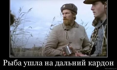 Гений маркетинга