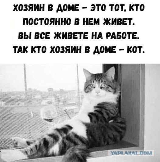 Не нанять ли нам няню?