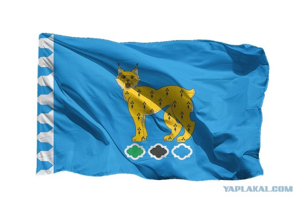 Флаг города РФ