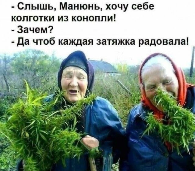 21 апреля Международный день конопли