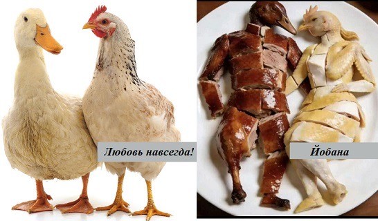 Веселое настроение в картинках (27.04.2026)