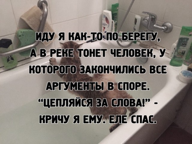 Картиночки, баянчики 14 мая