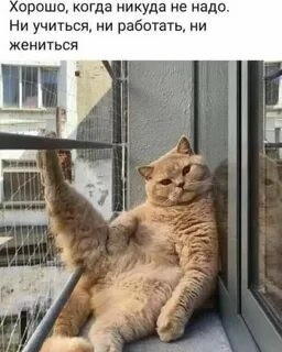 Веселое настроение в картинках 31.07.26