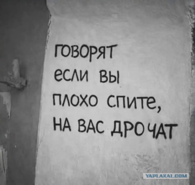 Веселые картинки в понедельник (17.08)