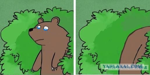 Злата хочет хорошо устроиться