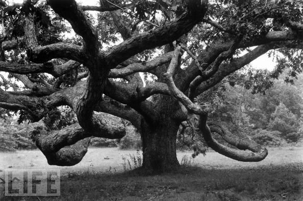 29 необычных фобий в фотографиях (29 фото)