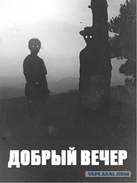 Все тлен