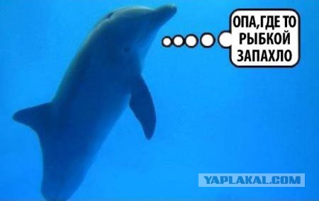 Рыбки 18+