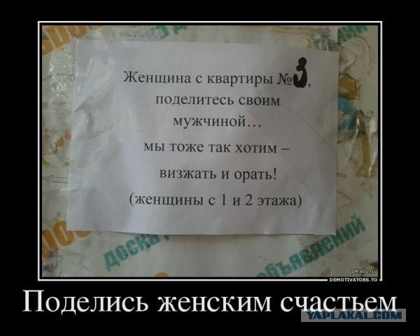 Объявления, анонсы из сети.