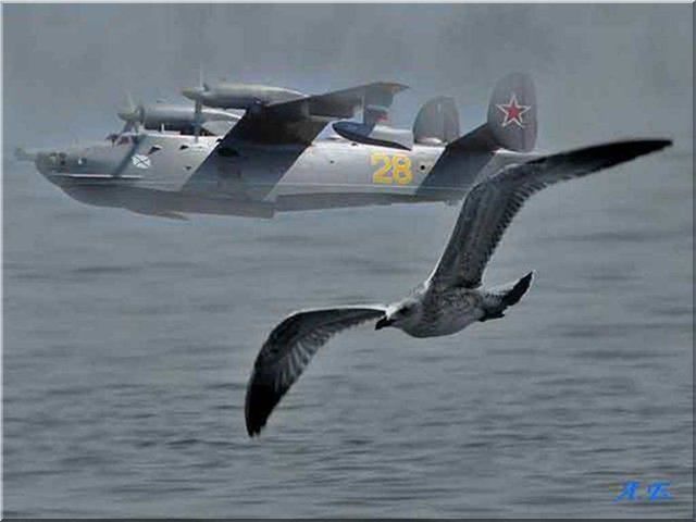 Самолет-амфибия Бе-12 «Чайка». Малоизвестные факты