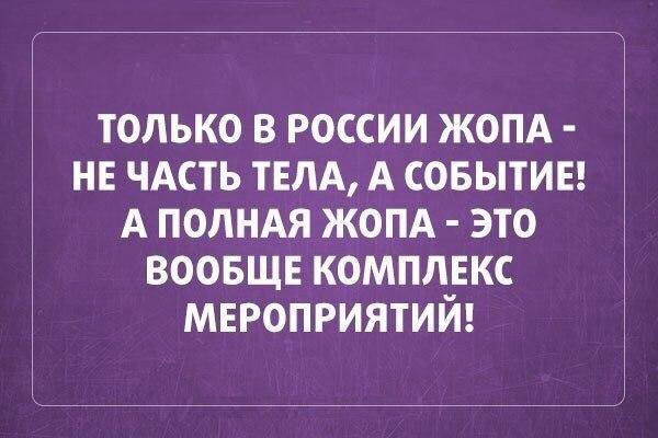 Весёлое из сети