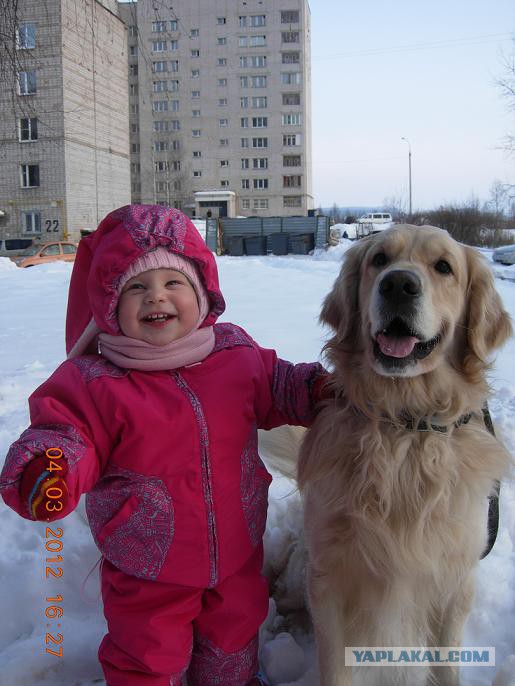 Человеку нужна собака