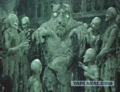 Укроняньки. Семь штук.