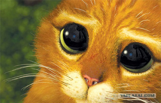 Я виноват и не знаю что делать!