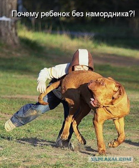 Немного братьев наших меньших! ЧЕТВЕРГ