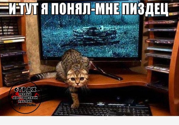 Ужасы и приколы из соцсетей 18+