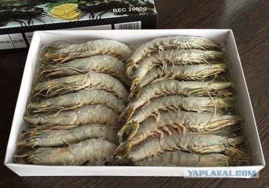 Креветки со льдом