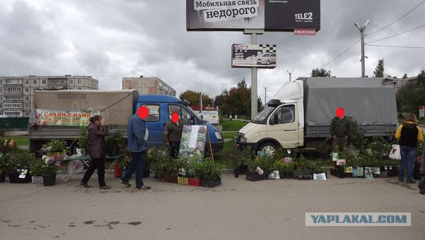 "Гнида" дрожащая или право имею