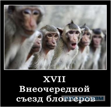 Завтра мы начнем убивать вас