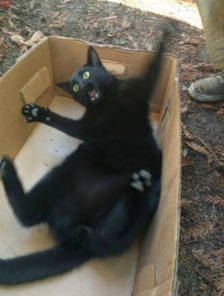 Это моя коробочка...