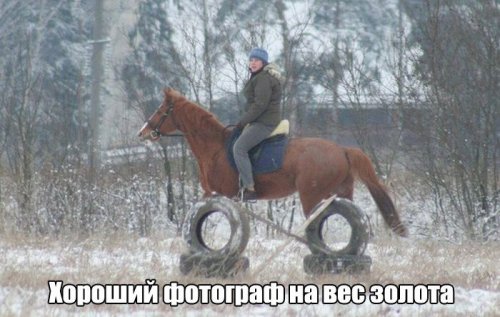 Прикольняхи