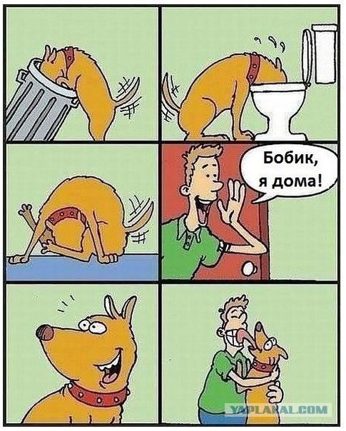 15 картинок с тЫрнета