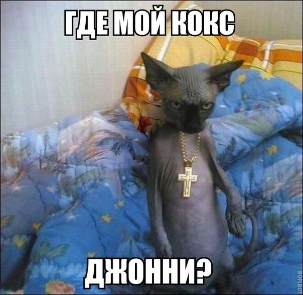 Картинки разные 2