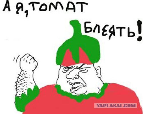 У меня есть мечта.