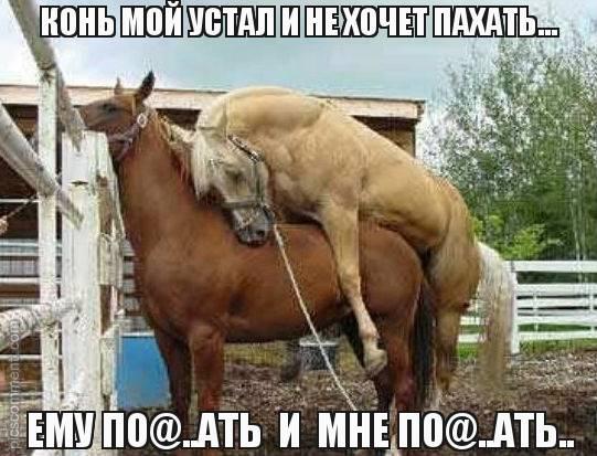 Февральский депресняк