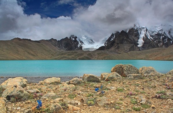 Картинки из сети