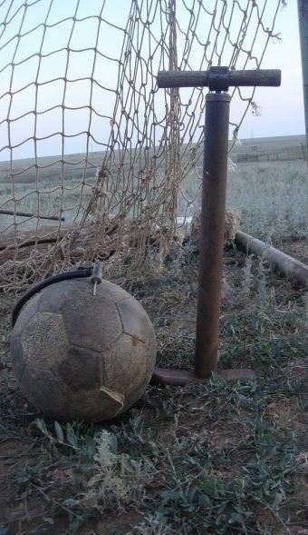 Подборка интересных и веселых картинок