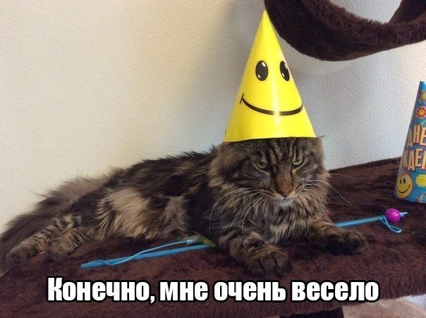 Мохнатые беспредельщики