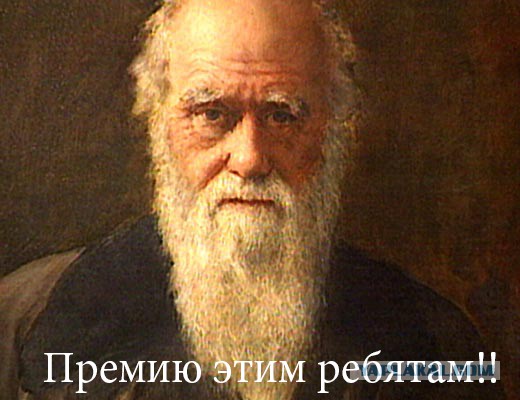 Два дебила это сила