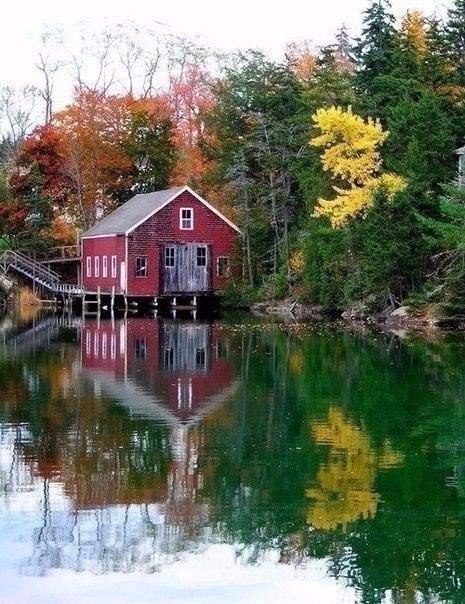 Картинок и гифок пост