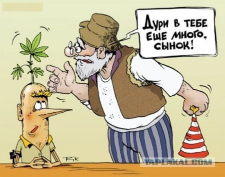 Они же дети!? Или дебилы?