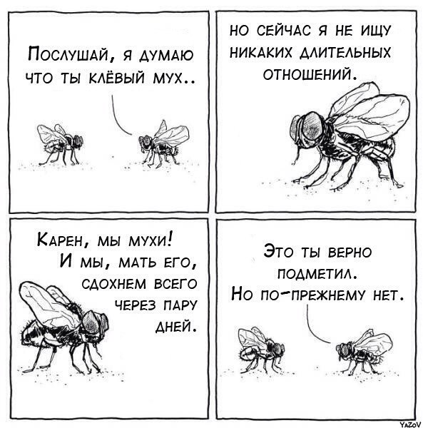 Картинки с просторов