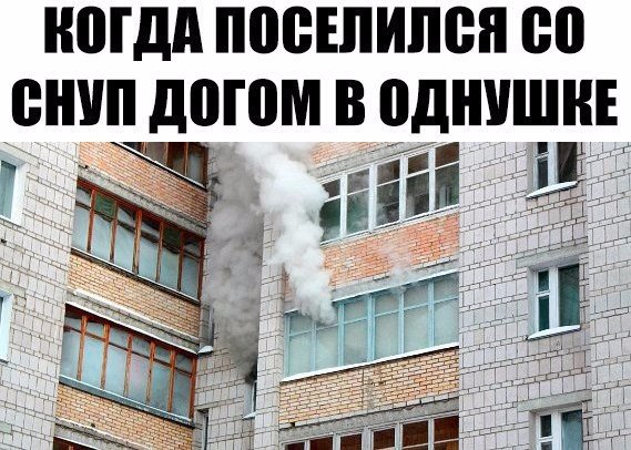 Подборка безудержного веселья