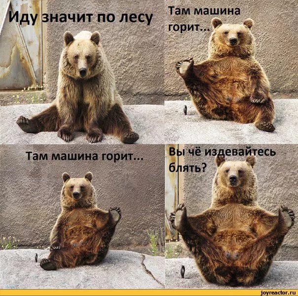 Мужик не знает, что такое страх