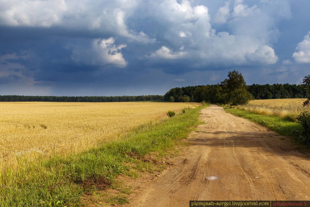 Красота сельских дорог