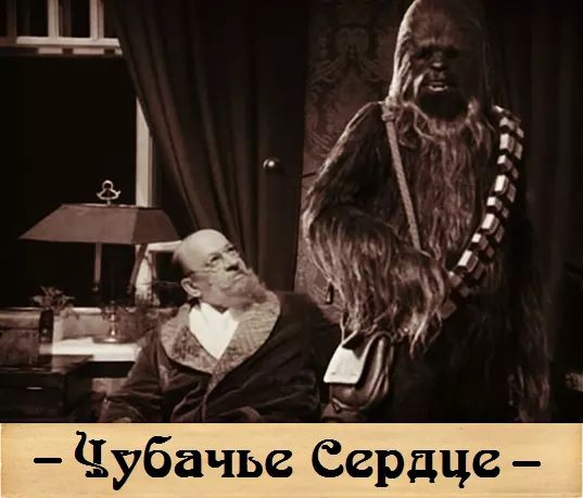 Субботняя адовая вакханалия подъехала