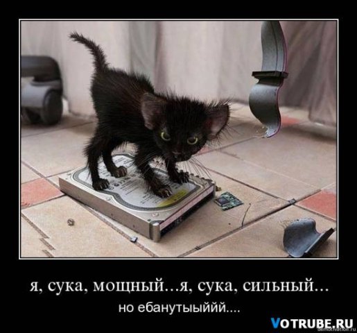 Кого звать, если...